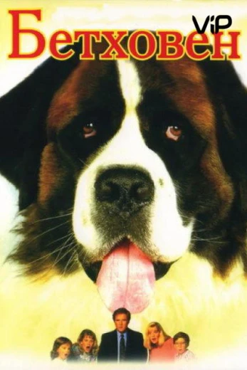 Бетховен КиноТак