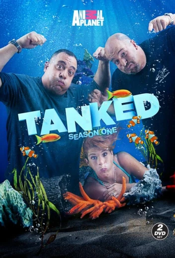 Аквариумный бизнес КиноТак