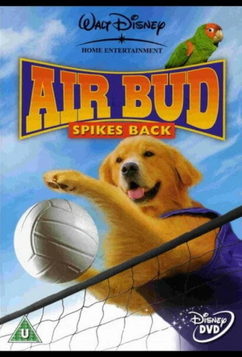 Король воздуха: Возвращение КиноТак