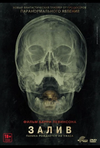 Залив КиноТак