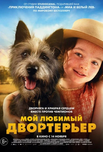 Мой любимый двортерьер КиноТак