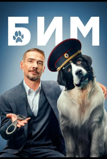 БиМ КиноТак