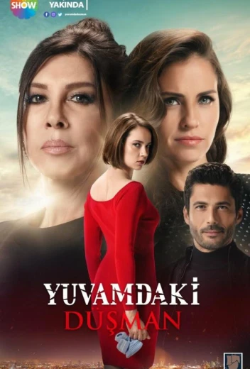 Враг в моем доме КиноТак