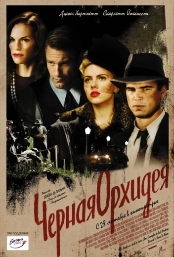 Черная орхидея КиноТак