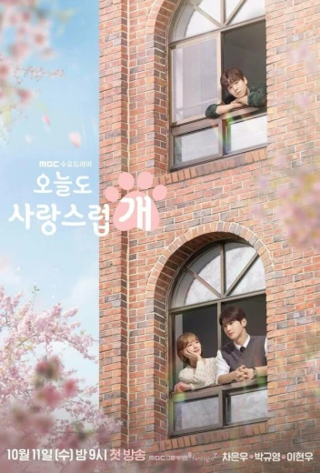 Отличный день, чтобы стать собакой КиноТак