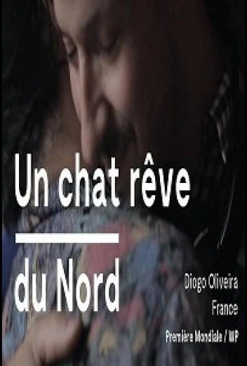 Кот, мечтающий о севере КиноТак