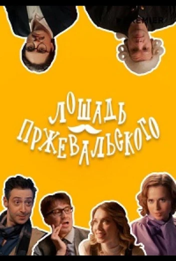 Лошадь Пржевальского КиноТак