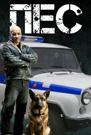 Пёс КиноТак