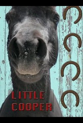 Маленький Купер КиноТак