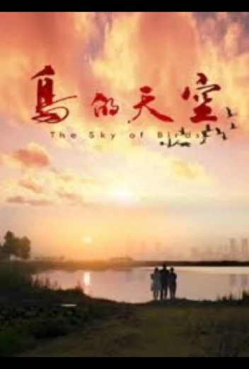 Небо для птиц КиноТак