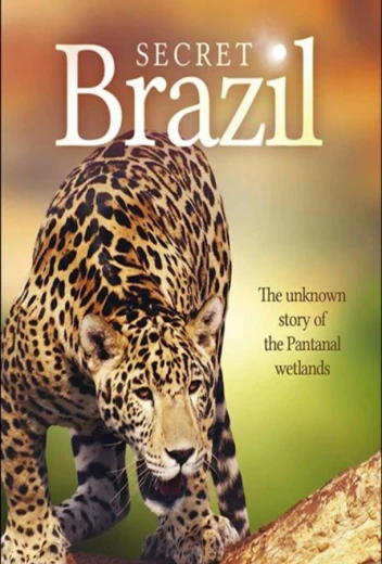 Неизвестная Бразилия КиноТак