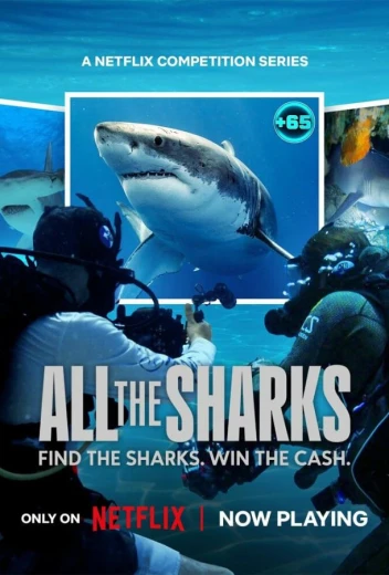 Все акулы КиноТак