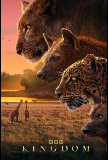 Царство животных КиноТак